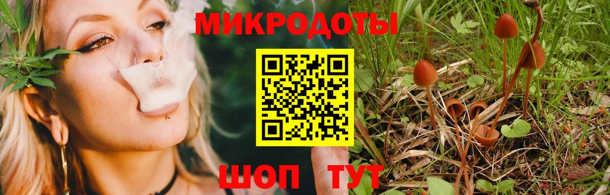 Галлюциногенные грибы MAGIC MUSHROOMS Мурино